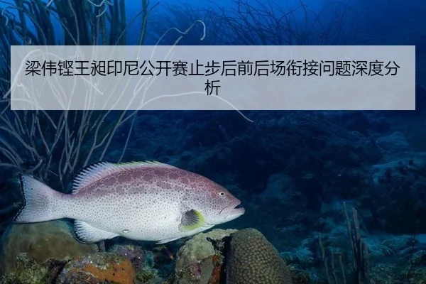 梁伟铿王昶印尼公开赛止步后前后场衔接问题深度分析